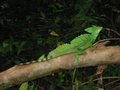 Img_3099.jpg